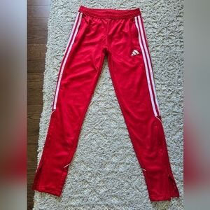 Adidas Awroready Red Track Pants